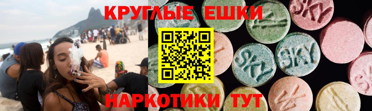 Майский  ЭКСТАЗИ Philipp Plein  Вход с VPN  Экстази Punisher 