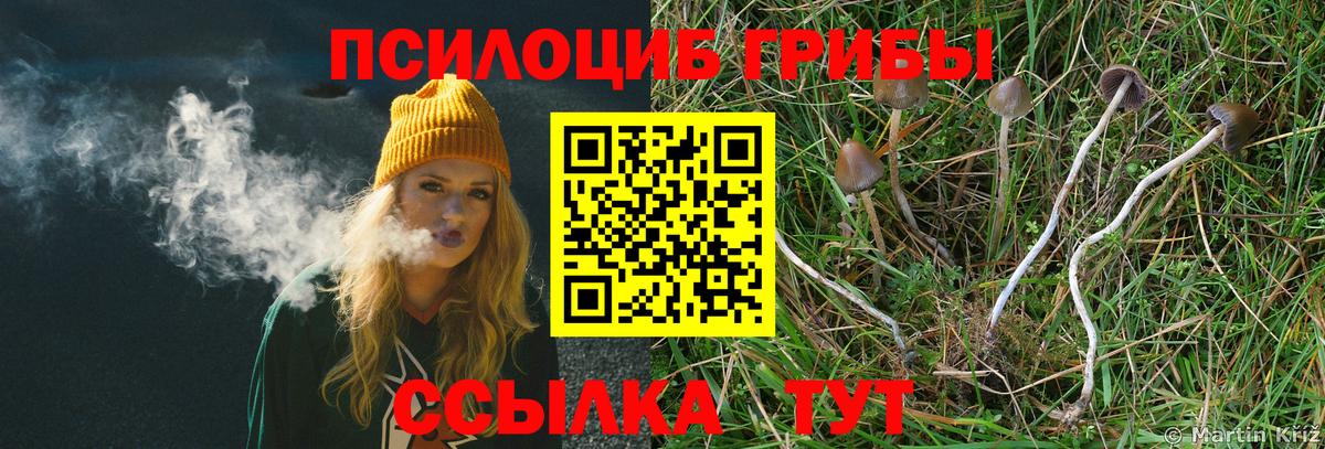 Галлюциногенные грибы GOLDEN TEACHER  Вход с VPN  Псилоцибиновые грибы Psilocybine cubensis  Майский 